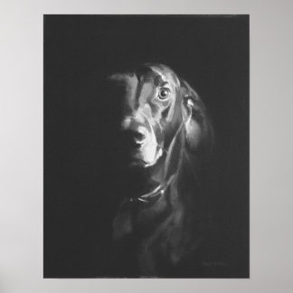 Svart lab Hund Watercolor av Paul Jackson Poster