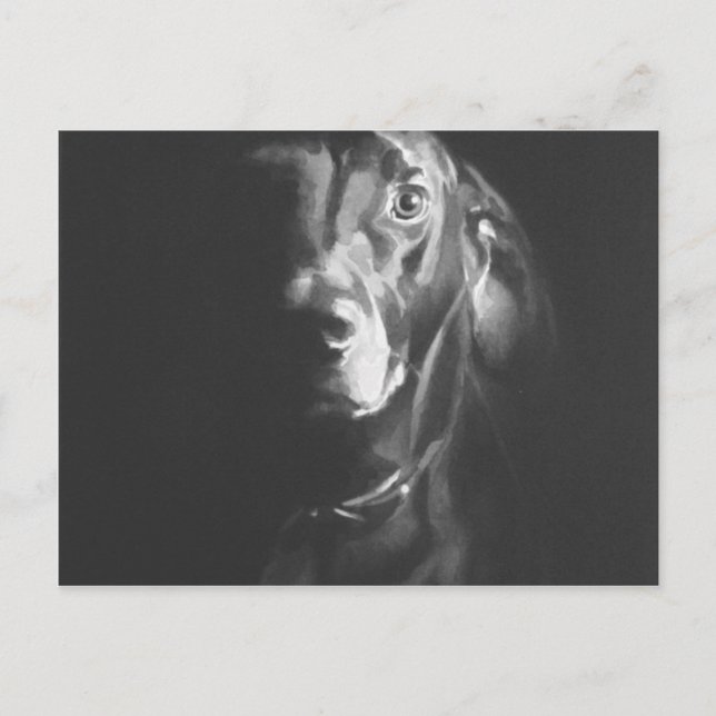 svart lab Hund Watercolor av Paul Jackson Vykort (Framsida)