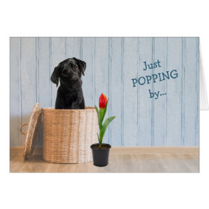 Svart lab Hund Wicker Basket-födelsedagskort Hälsningskort