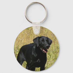 Svart lab i fält Keychain Nyckelring