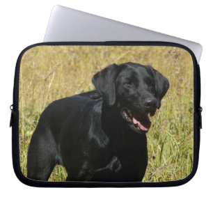 Svart lab i fältlaptop sleeve
