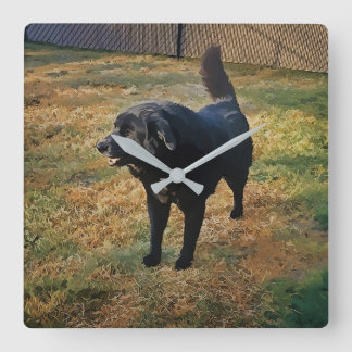 Svart lab i Solens fallmuskel Fyrkantig Klocka