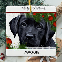 Svart lab jul - Cute Hund Puppy Labrador