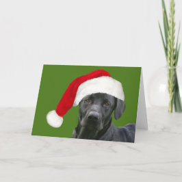 Svart lab jul helgkort