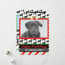 Svart lab jul-Hund Lägg till foto