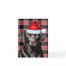 Svart lab jul och röd Helgdag Play