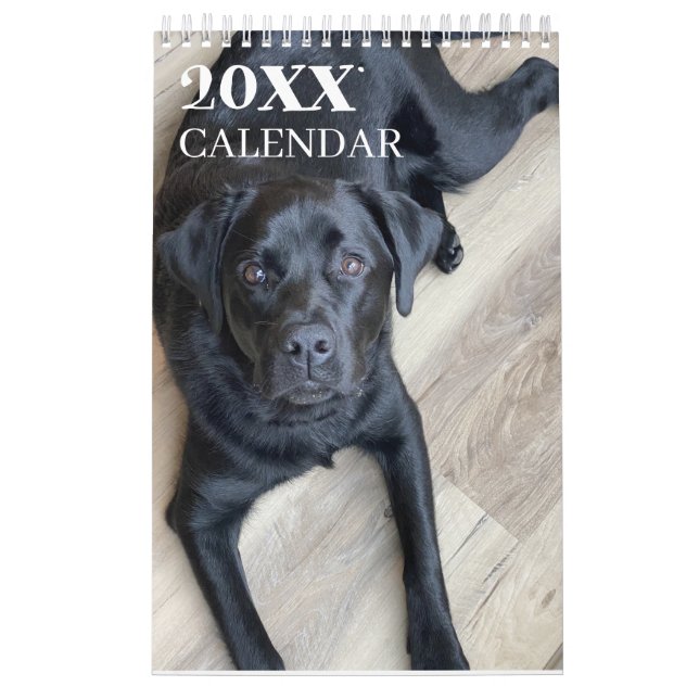 Svart Lab Kalender Labrador Retriever 2026 (Omslag)