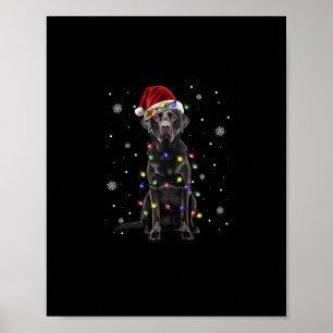 svart lab labrador hund christmas ljus julafton Sa Poster
