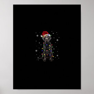 svart lab labrador hund christmas ljus julafton Sa Poster