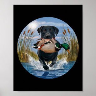 Svart lab Labrador Hunting Ankor Waterfowl Gult Poster