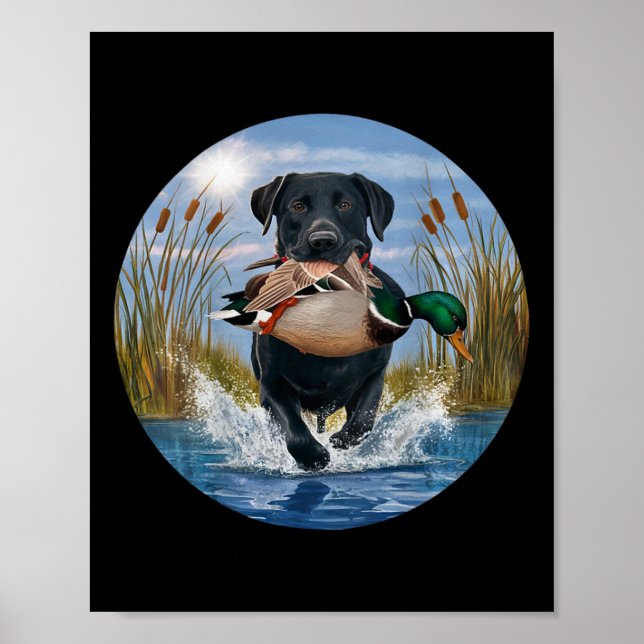 Svart lab Labrador Hunting Ankor Waterfowl Gult Poster (Framsidan)