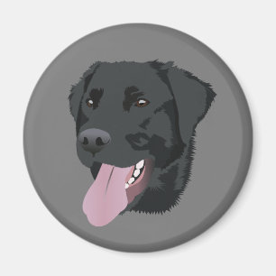 Svart lab magnet