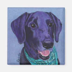 Svart lab magnet - "Gus ",
