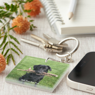 Svart lab med två stift Hund Photo och Namn