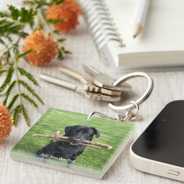 Svart lab med två stift Hund Photo och Namn (Högra Framsidan)