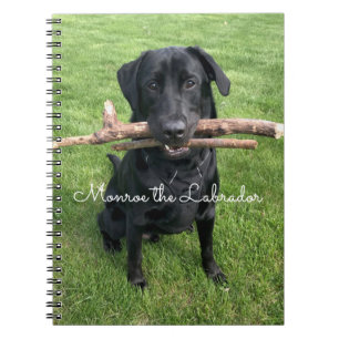 Svart lab med två stift Hund Photo och Namn Anteckningsbok
