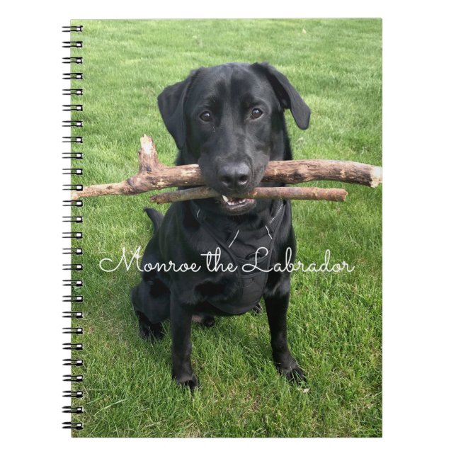 Svart lab med två stift Hund Photo och Namn Anteckningsbok (Framsidan)