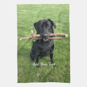 svart lab med två stift Hund Photo och Namn Kökshandduk