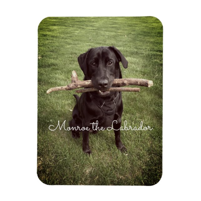 Svart lab med två stift Hund Photo och Namn Magnet (Vertikal)