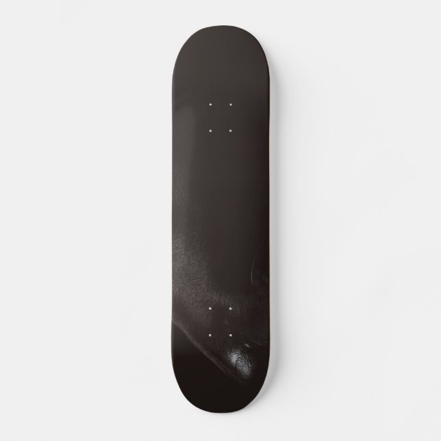 svart lab mini skateboard bräda 18,5 cm (Framsida)