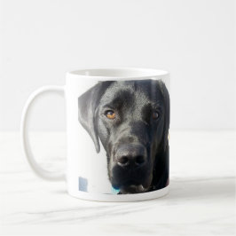 Svart lab mugg