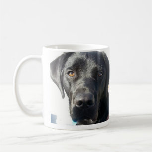 Svart lab mugg