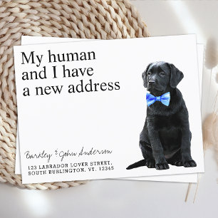 Svart lab Ny adress Hund Flytta Meddelande Vykort