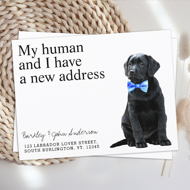 Svart lab Ny adress Hund Flytta Meddelande Vykort (Skapare uppladdad)