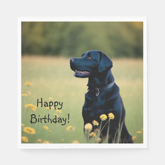 Svart lab pappersservett (Framsidan)