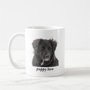svart lab Pet Hund Photo Puppy Kärlek Kaffemugg