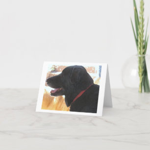 Svart lab Porträtt - Ranch Hund älskare - Tom Kort