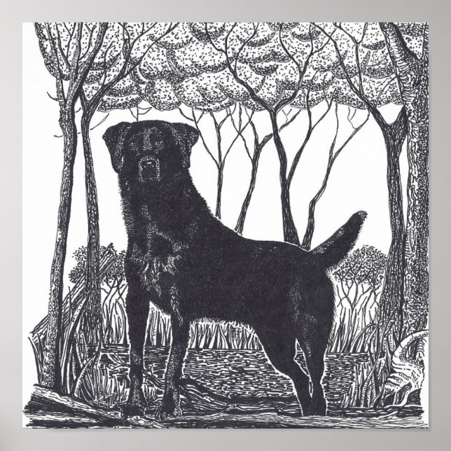 svart lab poster (Framsidan)