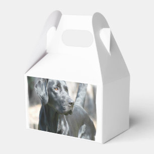 Svart lab presentaskar