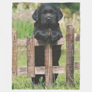 SVART LAB PUPPY FLEECEFILT