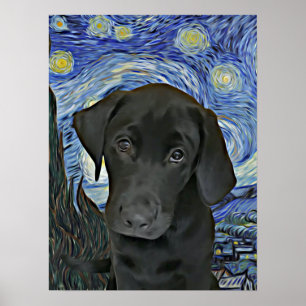 Svart lab Puppy Starry Night Van Gogh Inspired Poster