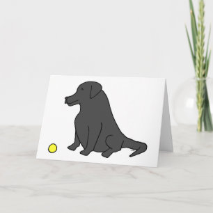 Svart lab "Sätt dig. Stanna. Ha en Boll." Hund föd Kort