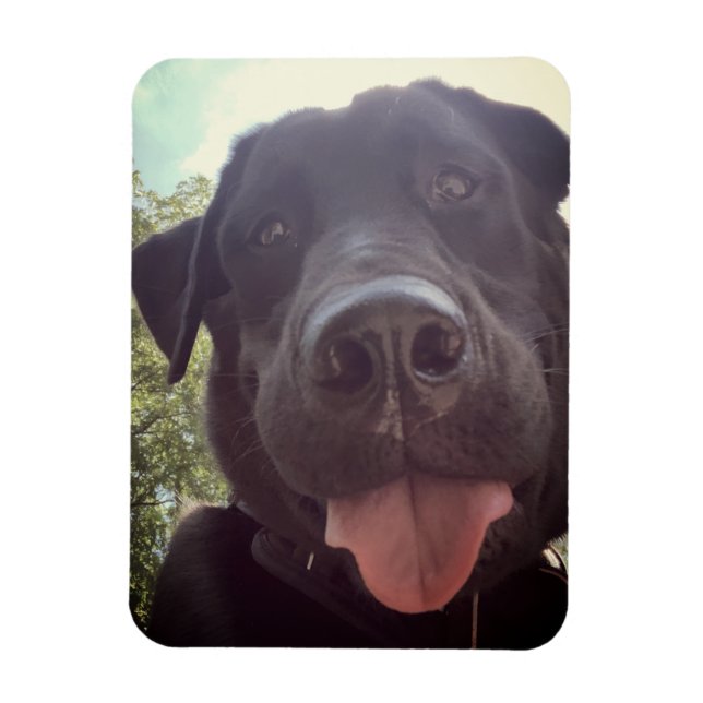 Svart lab Selfie Hund Photo Magnet (Vertikal)