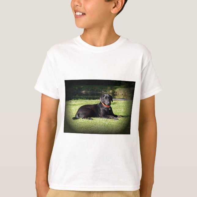 Svart lab t-shirt (Framsida)