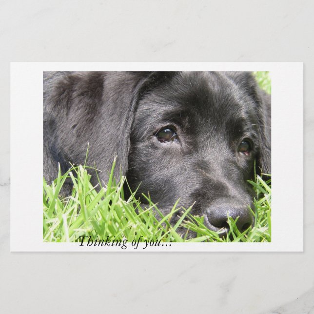 Svart lab tanke på dig (Framsida)