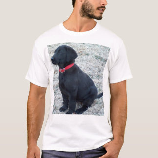 Svart lab tee shirt