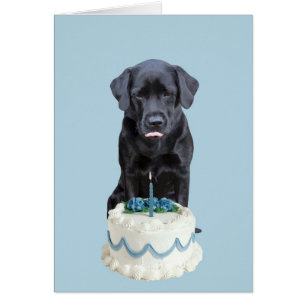 Svart lab Tillfällen-kort - Hund Kaksdag Hälsningskort