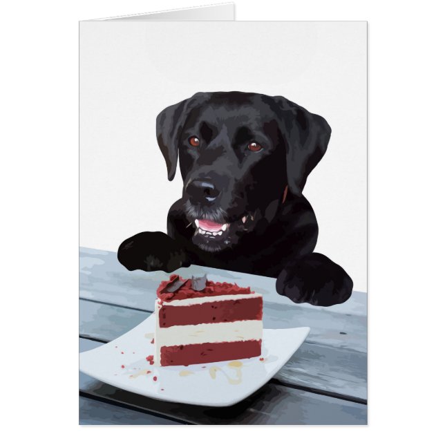 svart lab Tillfällen-kort - Hund Kaksfödelsedag Hälsningskort (Framsidan)