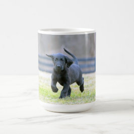 Svart lab valpspring kaffemugg