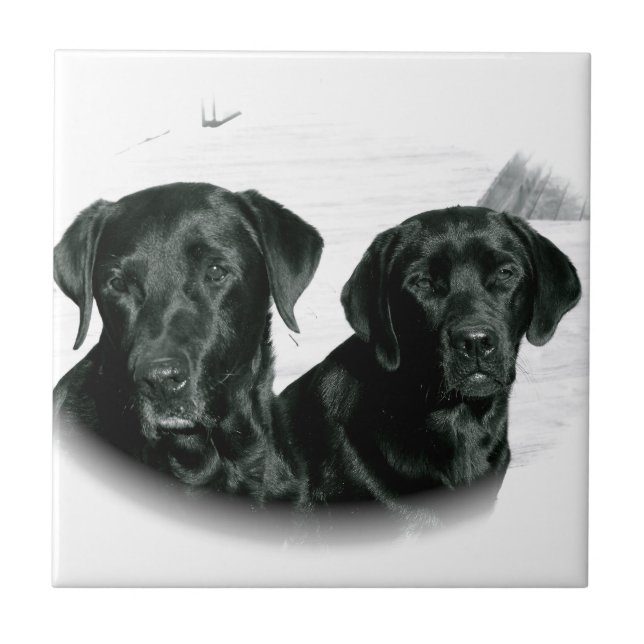Svart labb kakelplatta (Framsidan)