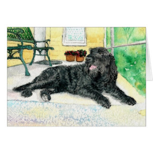 Svart Labradoodle Hälsningskort