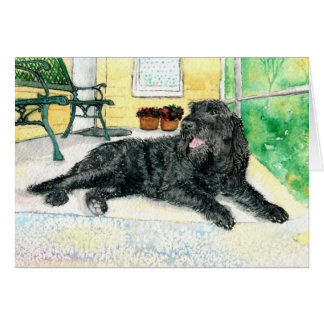 Svart Labradoodle Hälsningskort