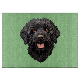 Svart Labradoodle Hund
