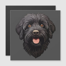 Svart Labradoodle Hund