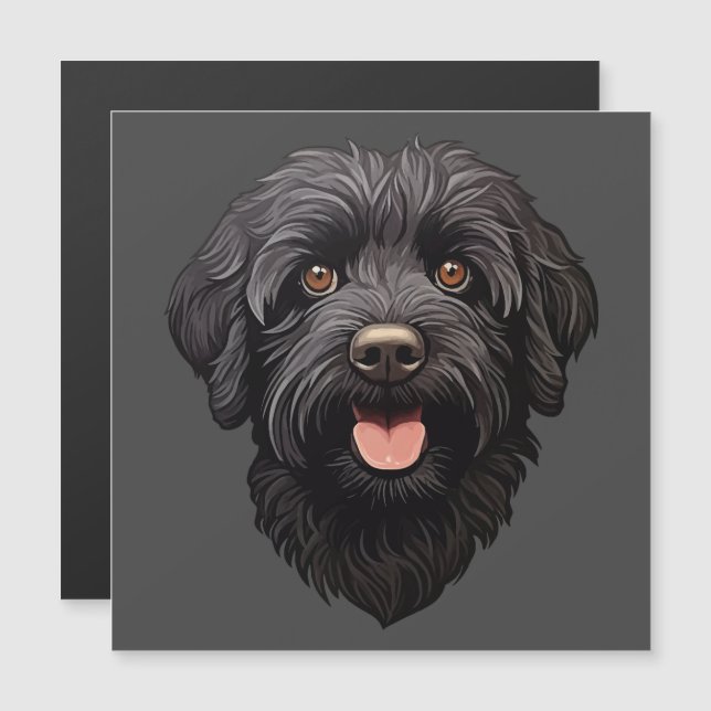 Svart Labradoodle Hund (Fram/baksida)