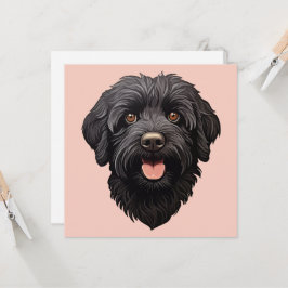 Svart Labradoodle Hund